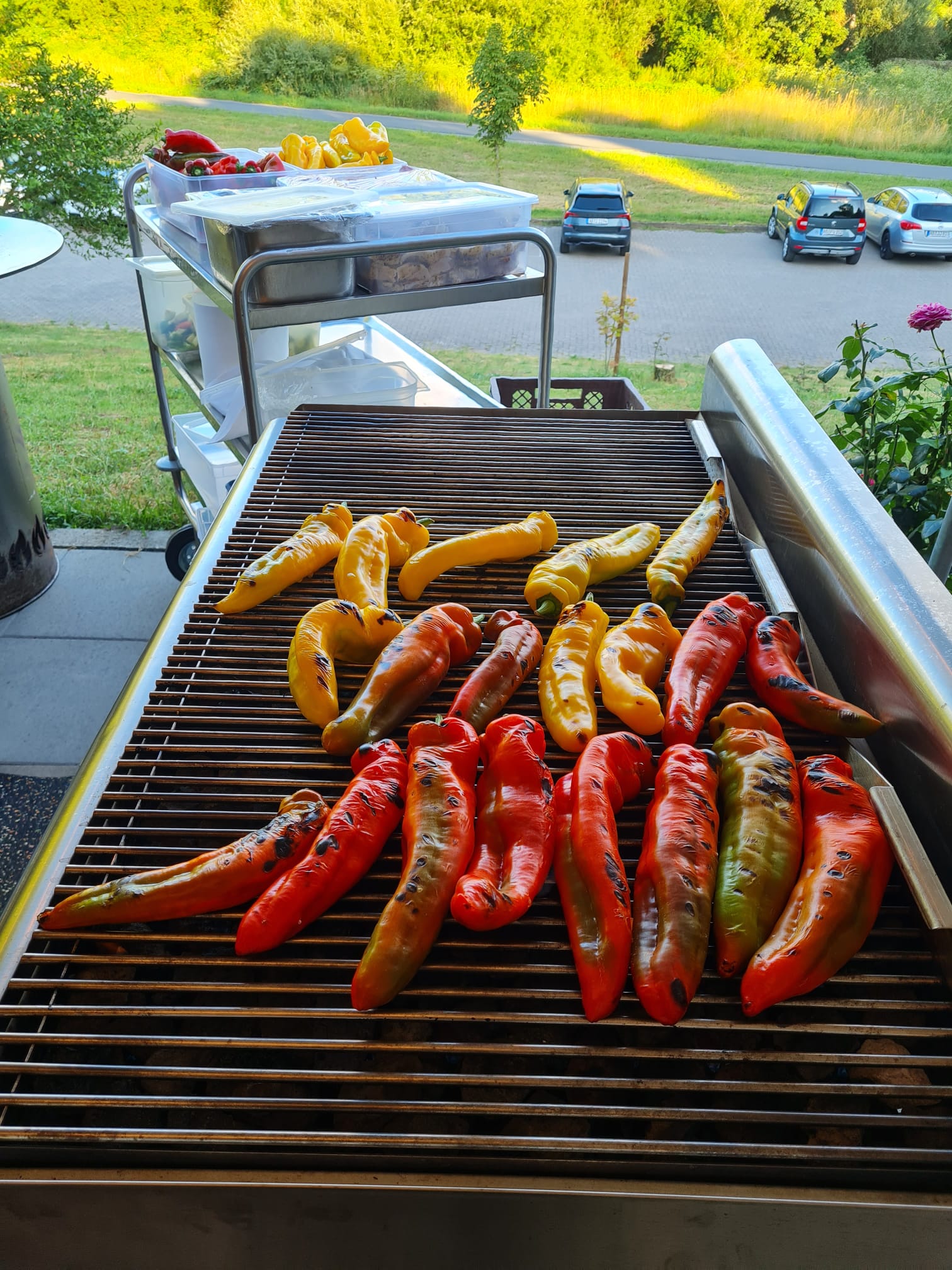 Grillspieße vom Catering